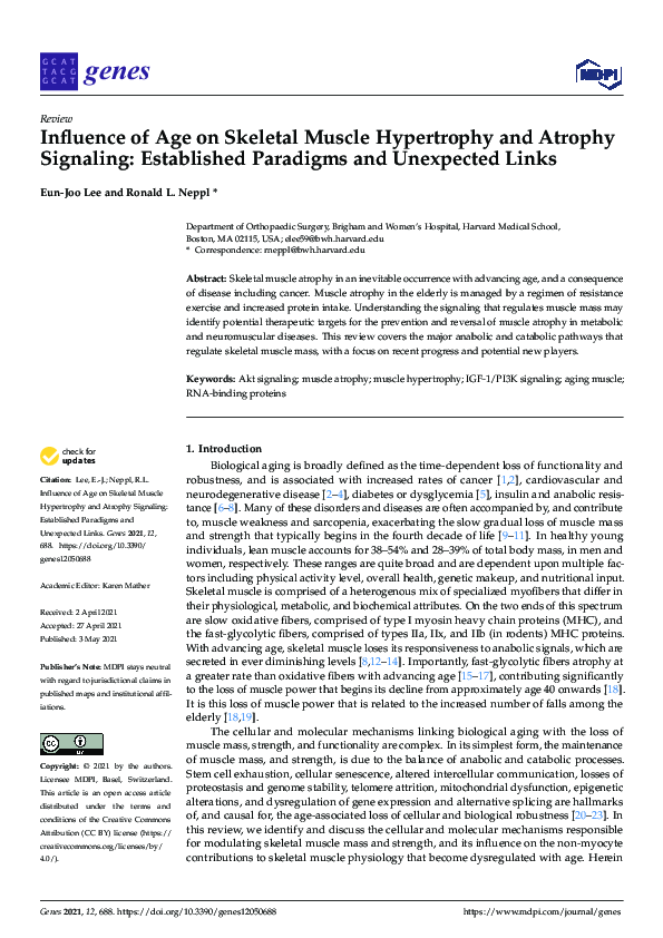 (PDF) Influence of Age on Skeletal Muscle Hypertrophy and Atrophy ...