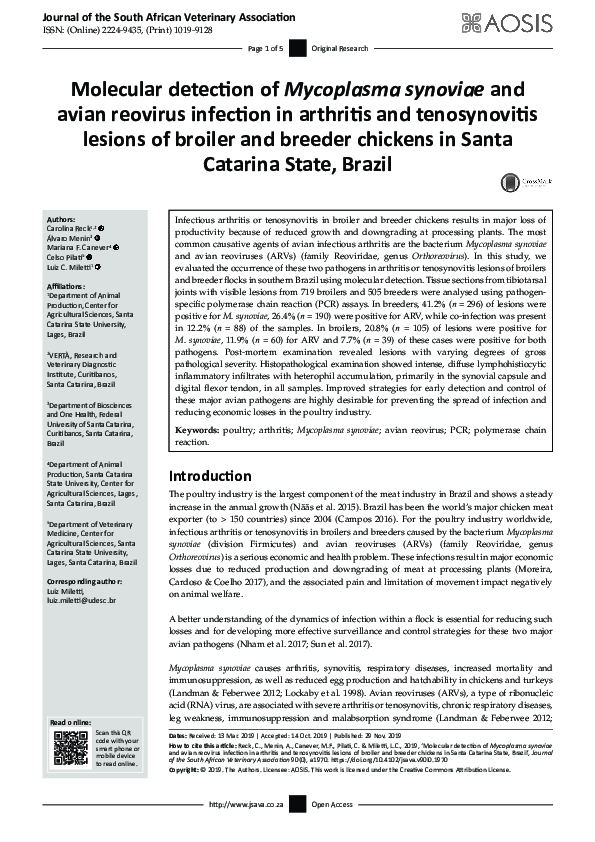 (PDF) Molecular detection of Mycoplasma synoviae and avian reovirus ...