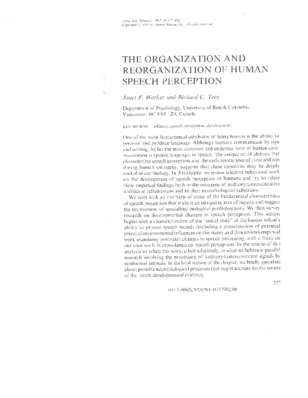 Perceptual reorganization essay 07 image