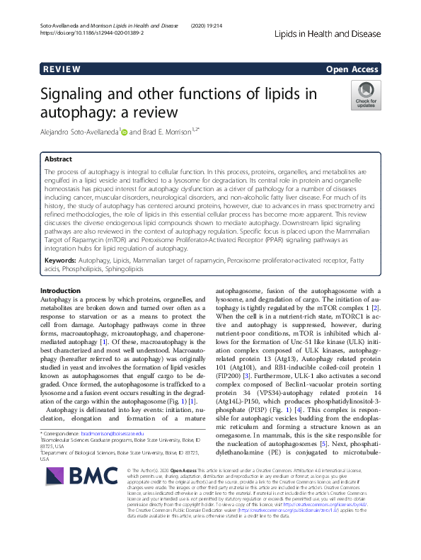 (PDF) Signaling and other functions of lipids in autophagy: a review