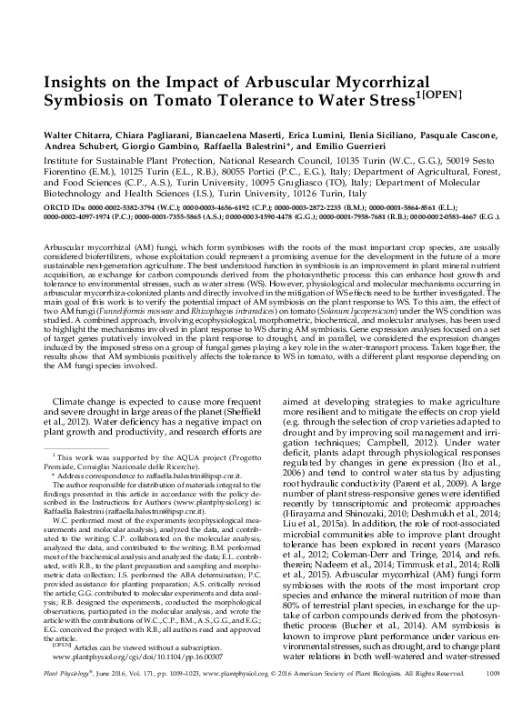 (PDF) Insights On the Impact of Arbuscular Mycorrhizal Symbiosis On ...