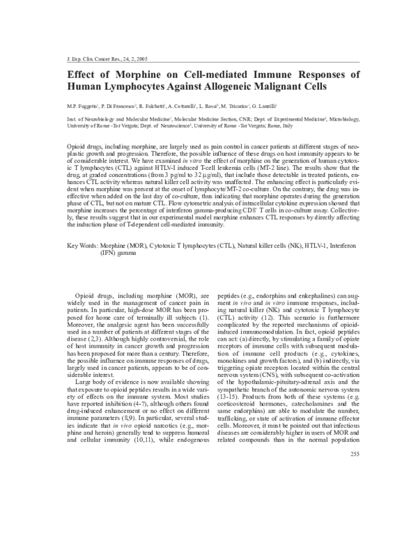 Lymphocyte function image