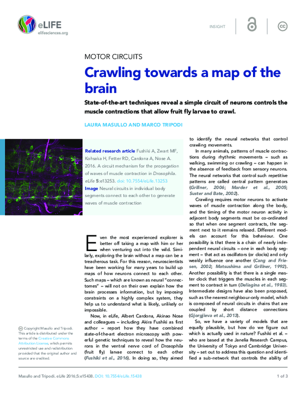 (PDF) Crawling towards a map of the brain