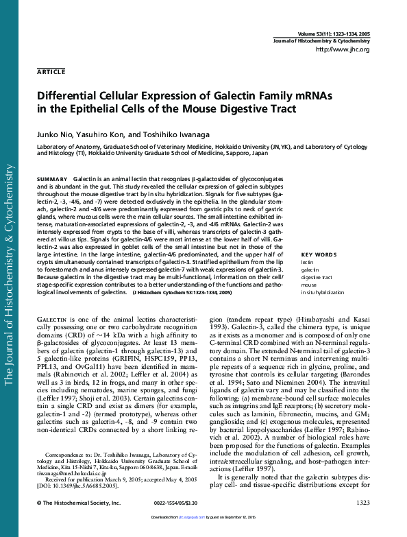  PDF Differential Cellular Expression Of Galectin Family MRNAs In The 