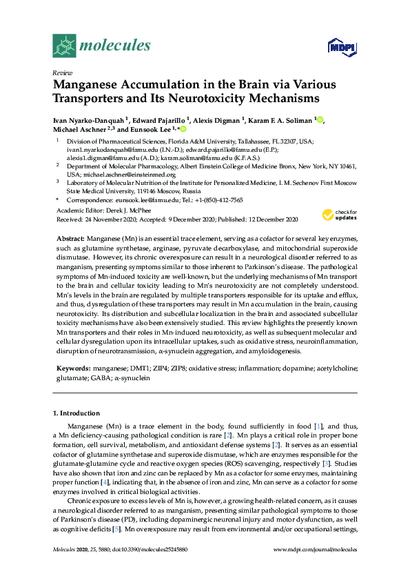 (PDF) Manganese Accumulation in the Brain via Various Transporters and ...