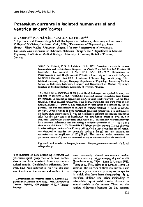 (PDF) Potassium currents in isolated human atrial and ventricular ...