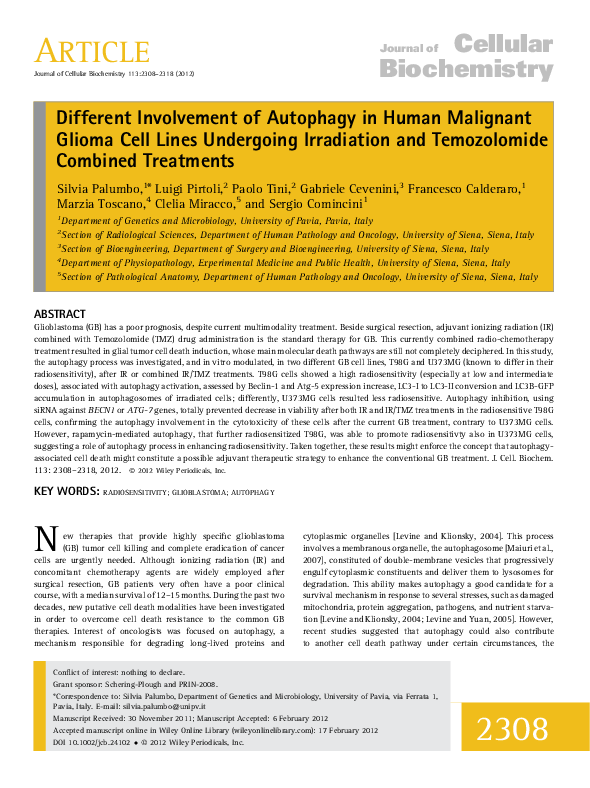 (PDF) Different involvement of autophagy in human malignant glioma cell ...