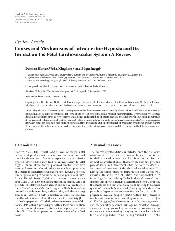 (PDF) Causes and Mechanisms of Intrauterine Hypoxia and Its Impact on ...