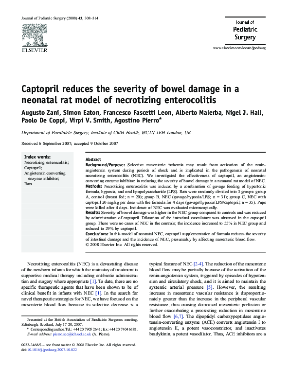 (PDF) Captopril reduces the severity of bowel damage in a neonatal rat ...