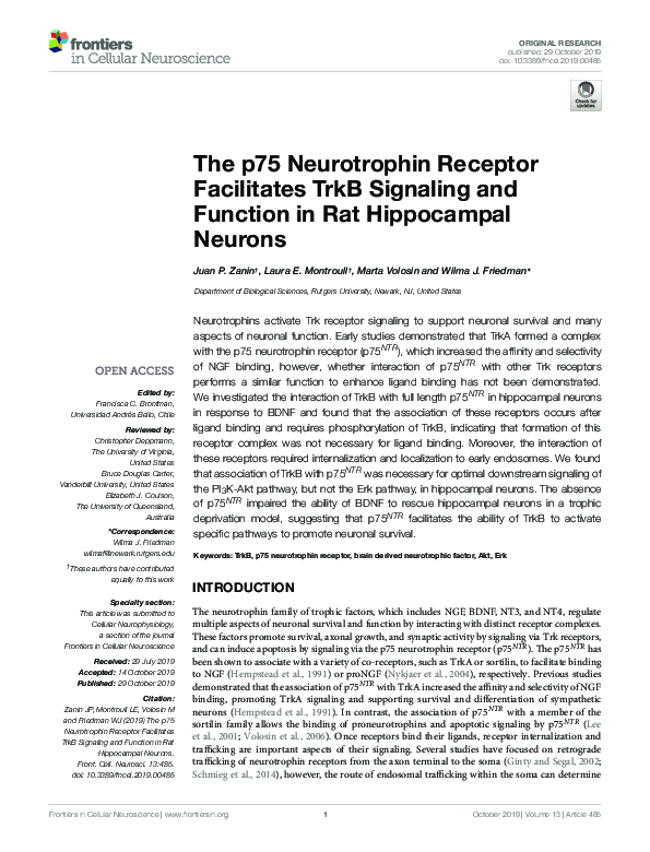 (PDF) The p75 Neurotrophin Receptor Facilitates TrkB Signaling and ...
