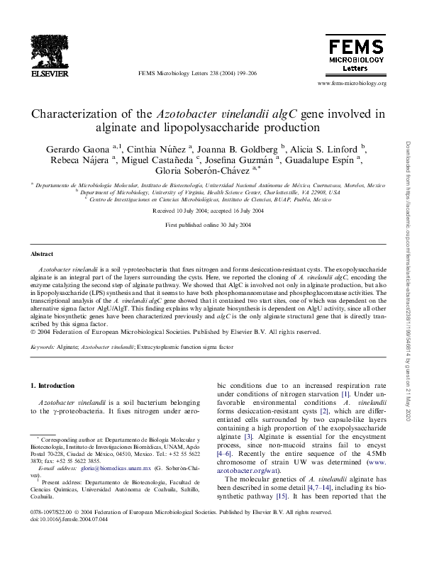 (PDF) Characterization of Azotobacter Vinelandii Aggregation In ...
