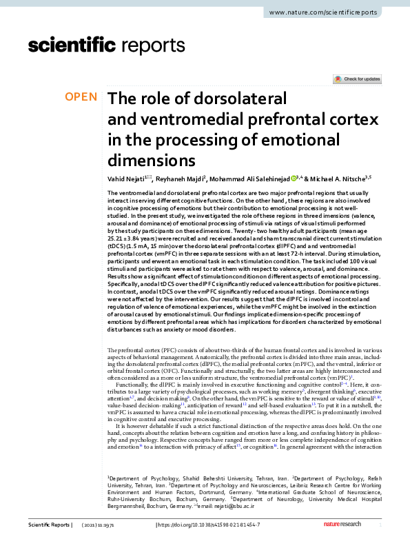 (PDF) The role of dorsolateral and ventromedial prefrontal cortex in ...