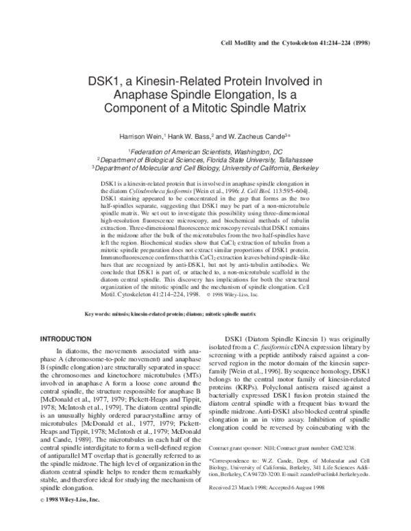 (PDF) DSK1, a kinesin-related protein involved in anaphase spindle ...