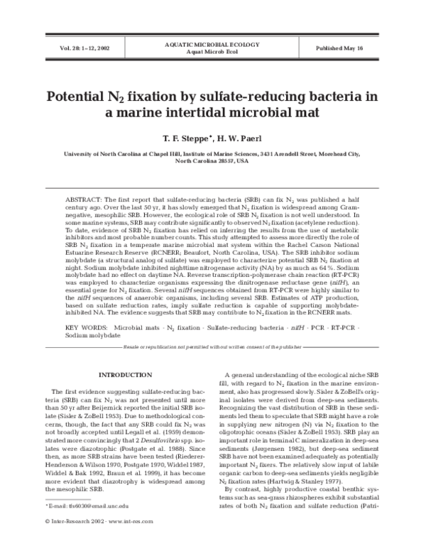 (PDF) Potential N2 fixation by sulfatereducing bacteria in a marine