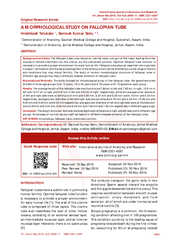 (PDF) A Morphological Study on Fallopian Tube