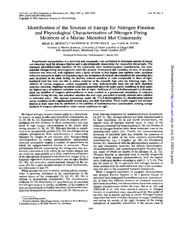(PDF) Identification of the sources of energy for nitrogen fixation and ...