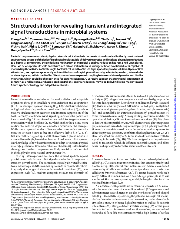 (PDF) Structured silicon for revealing transient and integrated signal ...