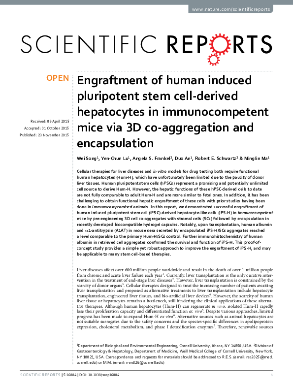 (PDF) Engraftment of human induced pluripotent stem cell-derived ...