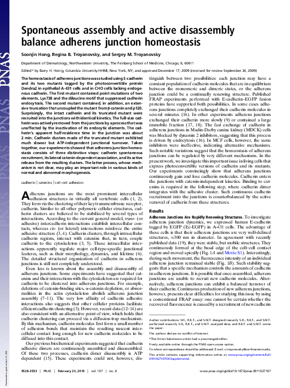 (PDF) Spontaneous assembly and active disassembly balance adherens