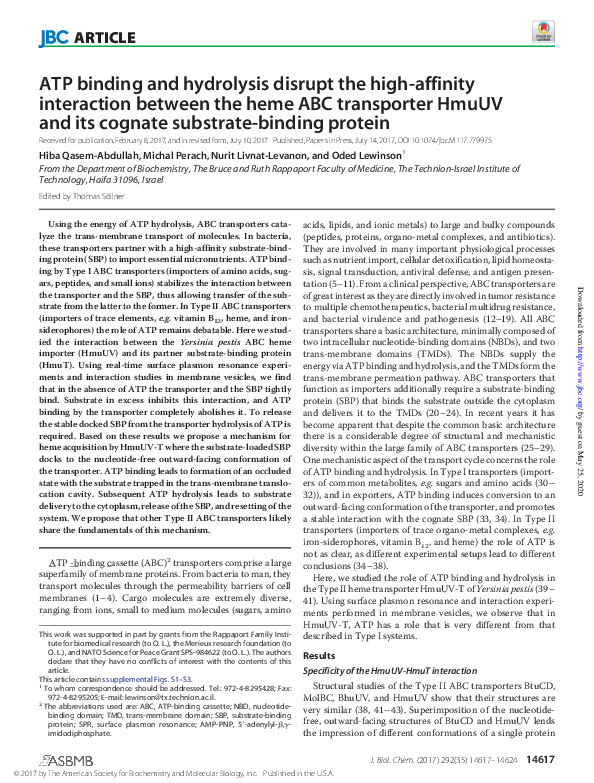 (PDF) ATP binding and hydrolysis disrupt the high-affinity interaction ...