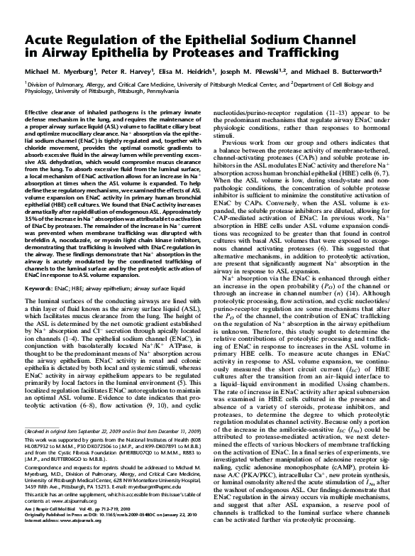 (PDF) Acute Regulation of the Epithelial Sodium Channel in Airway ...