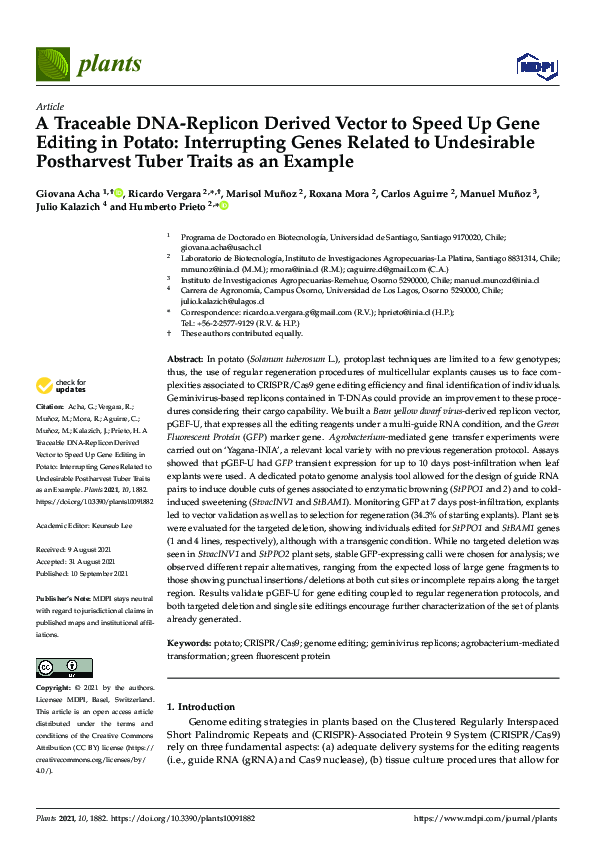 (PDF) A Traceable DNA-Replicon Derived Vector to Speed Up Gene Editing ...