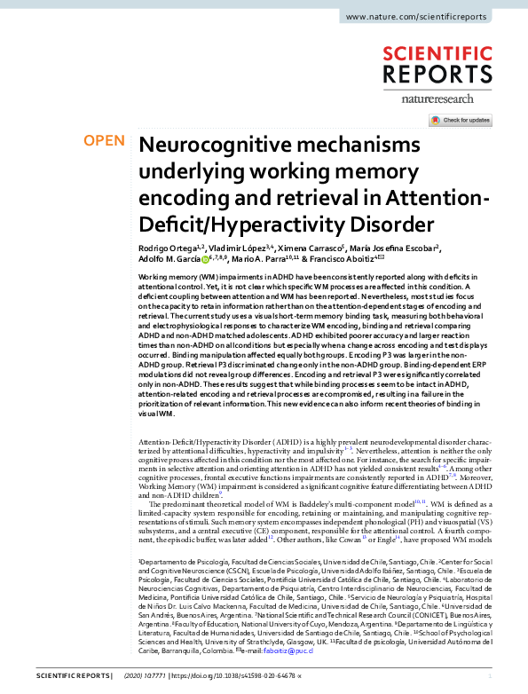 (PDF) Neurocognitive mechanisms underlying working memory encoding and ...