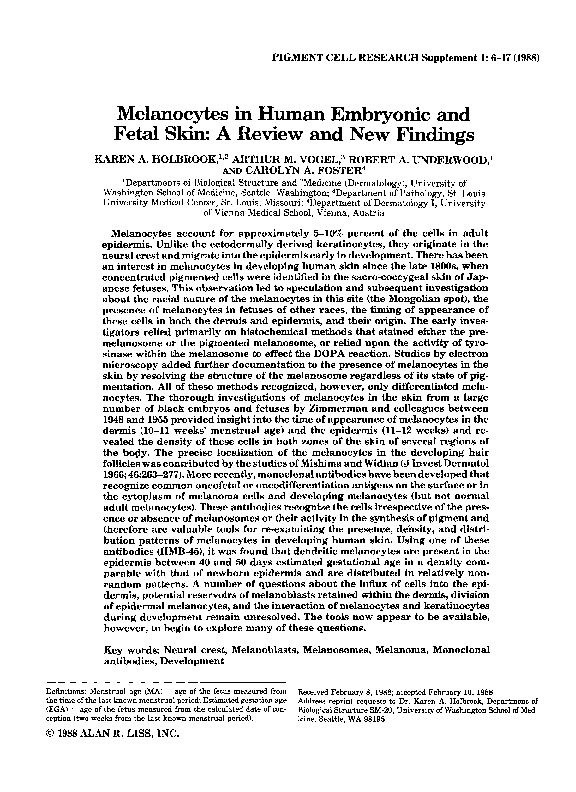 (PDF) Melanocytes in Human Embryonic and Fetal Skin: A Review and New ...