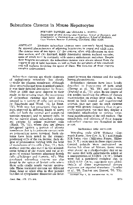 (PDF) Subsurface cisterns in mouse hepatocytes