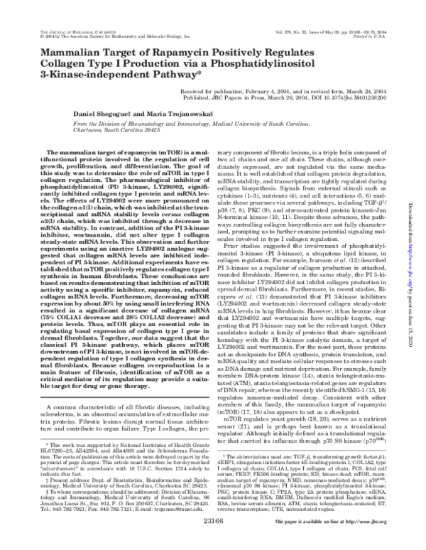 (PDF) Mammalian Target of Rapamycin Positively Regulates Collagen Type ...