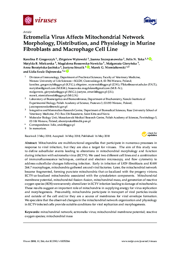 (PDF) Ectromelia Virus Affects Mitochondrial Network Morphology ...