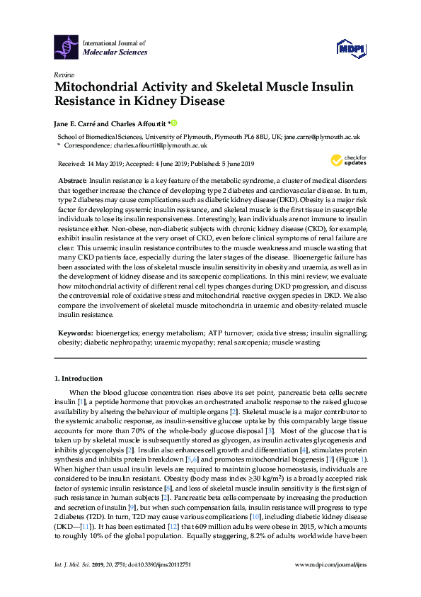 (PDF) Mitochondrial Activity and Skeletal Muscle Insulin Resistance in ...
