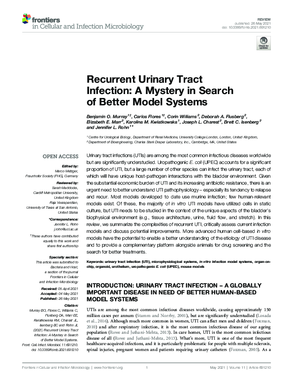 (PDF) Recurrent Urinary Tract Infection: A Mystery in Search of Better ...