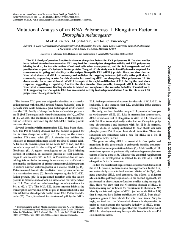 (PDF) Mutational Analysis of an RNA Polymerase II Elongation Factor in ...