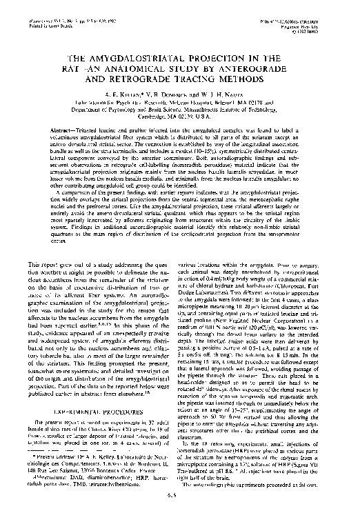 (PDF) The amygdalostriatal projection in the rat--an anatomical study ...
