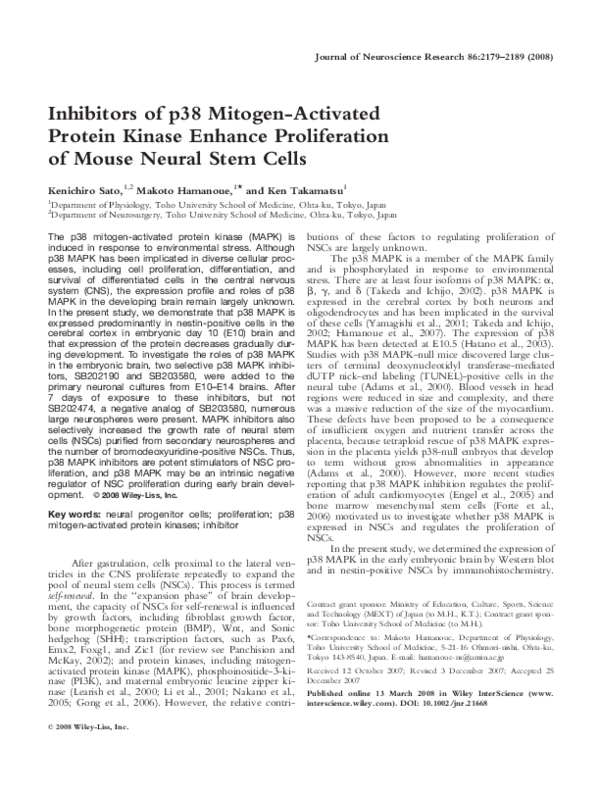 (PDF) Inhibitors of p38 mitogen‐activated protein kinase enhance ...