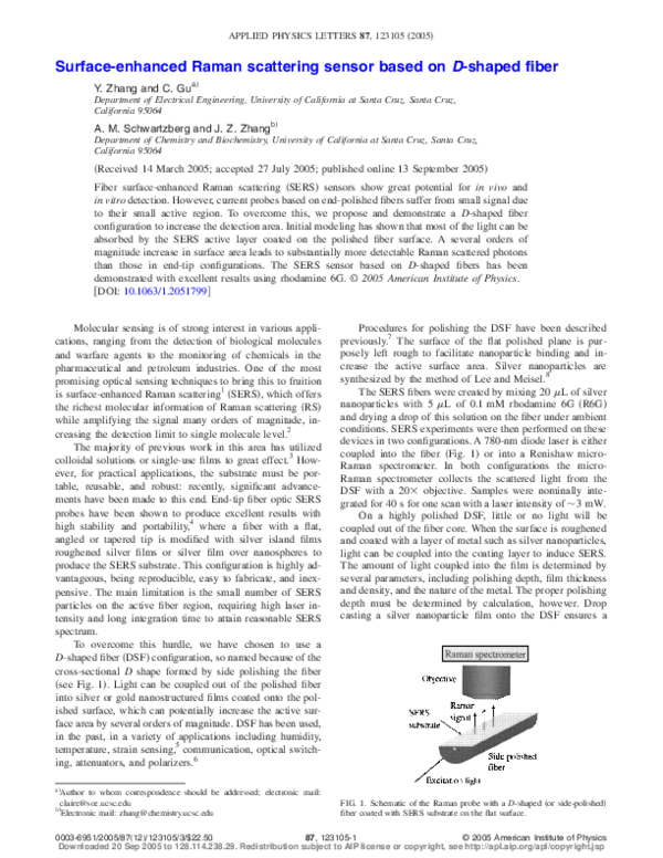 (PDF) Raman Sensor Based on Surface Enhanced Raman Scattering and D ...