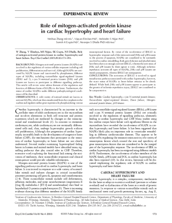 (PDF) Role of mitogen-activated protein kinase in cardiac hypertrophy ...