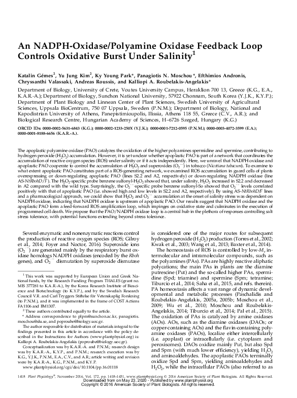 (PDF) An NADPH-oxidase/Polyamine Oxidase Feedback Loop Controls ...