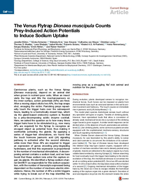 (PDF) The Venus Flytrap Dionaea muscipula Counts Prey-Induced Action ...
