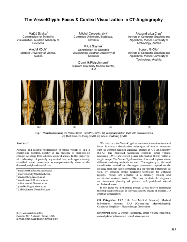 (PDF) The VesselGlyph: focus & context visualization in CT-angiography