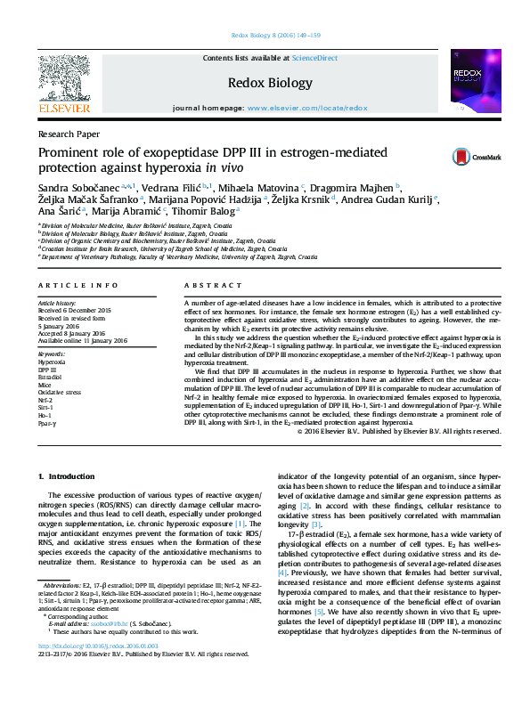 Essay dpp guidance picture