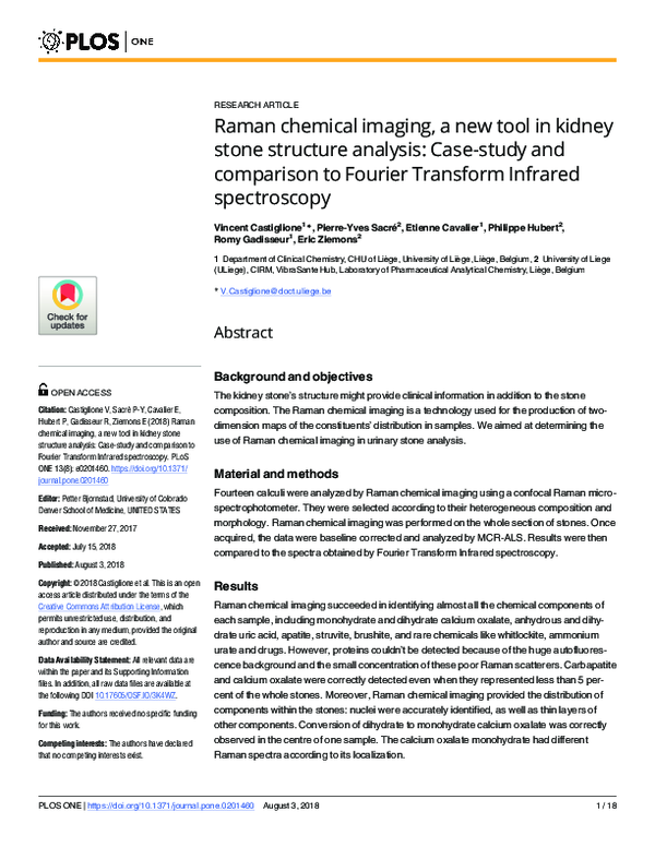 (PDF) Raman chemical imaging, a new tool in kidney stone structure ...