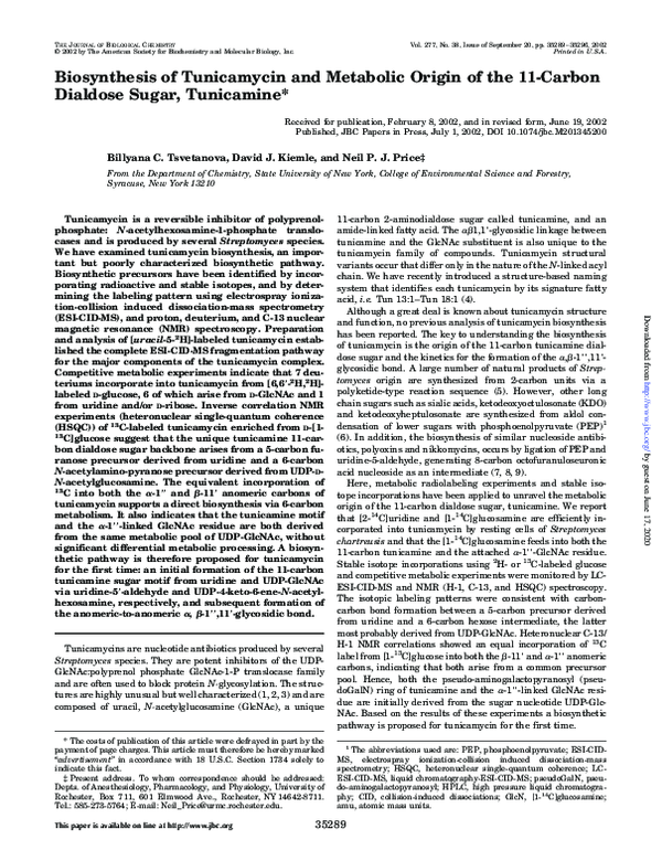 (PDF) Biosynthesis of Tunicamycin and Metabolic Origin of the 11-Carbon ...