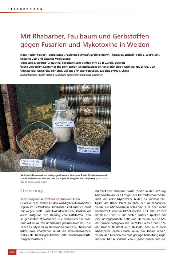 (PDF) Mit Rhabarber, FaulbaumRinde und Gerbsäure gegen Fusarien und Mykotoxine in Weizen Hans