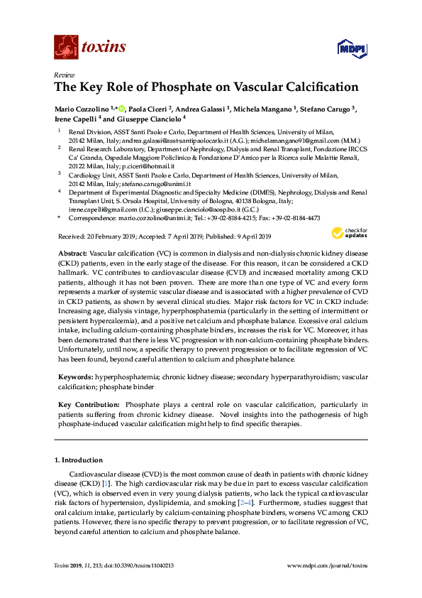 (PDF) The Key Role of Phosphate on Vascular Calcification