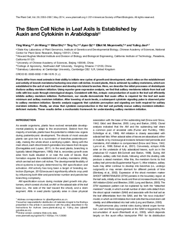 (PDF) Faculty of 1000 evaluation for The Stem Cell Niche in Leaf Axils ...