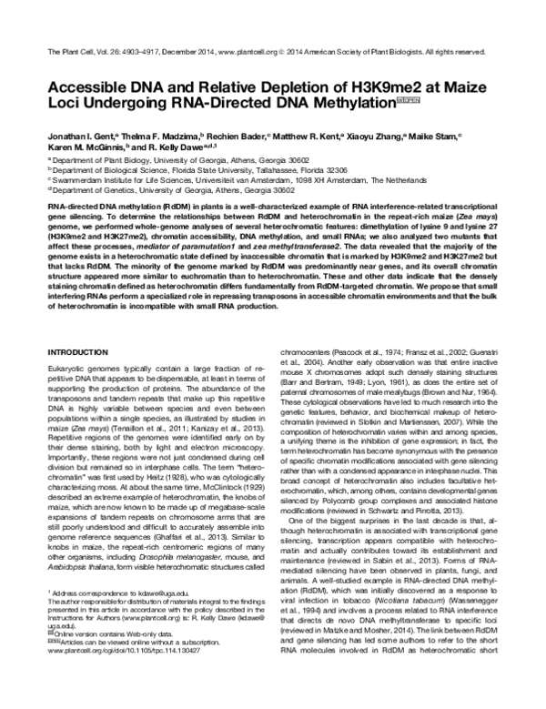 (PDF) Accessible DNA and Relative Depletion of H3K9me2 at Maize Loci ...