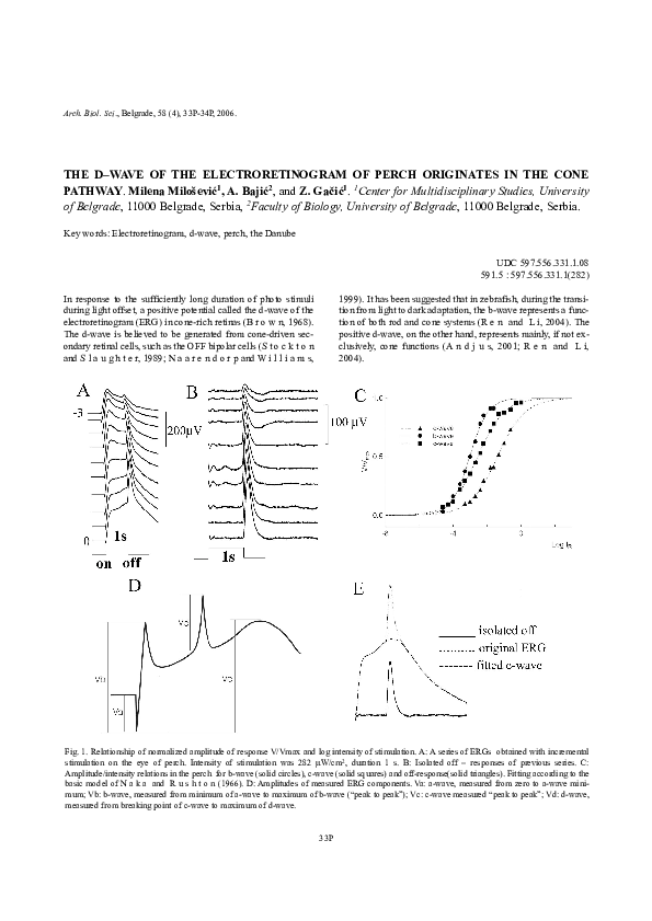 (PDF) The dwave of the electroretinogram of perch originates in the