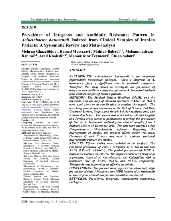 (PDF) Prevalence of Integrons and Antibiotic Resistance Pattern in ...